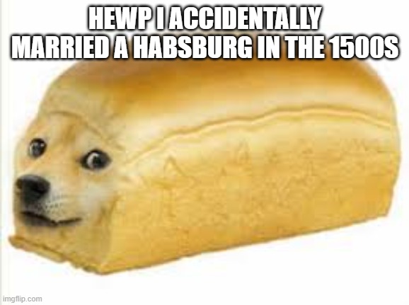 Doge von Habsburg | HEWP I ACCIDENTALLY MARRIED A HABSBURG IN THE 1500S | image tagged in doge bread,austria,inbred,alabama,memes,history memes | made w/ Imgflip meme maker