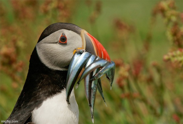 image tagged in awesome | made w/ Imgflip meme maker