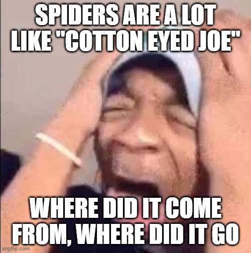 Flightreacts crying | SPIDERS ARE A LOT LIKE "COTTON EYED JOE"; WHERE DID IT COME FROM, WHERE DID IT GO | image tagged in flightreacts crying | made w/ Imgflip meme maker