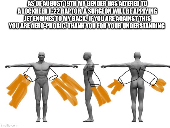 Plz understand | AS OF AUGUST 19TH MY GENDER HAS ALTERED TO A LOCKHEED F-22 RAPTOR. A SURGEON WILL BE APPLYING JET ENGINES TO MY BACK. IF YOU ARE AGAINST THIS YOU ARE AERO-PHOBIC. THANK YOU FOR YOUR UNDERSTANDING | image tagged in funny memes,memes | made w/ Imgflip meme maker