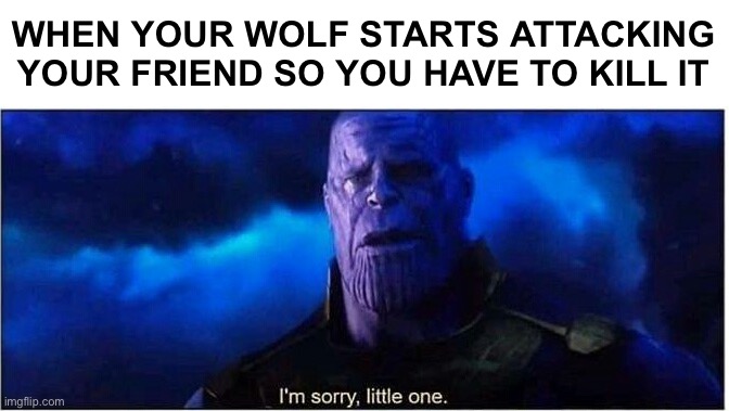 Thanos I'm sorry little one | WHEN YOUR WOLF STARTS ATTACKING YOUR FRIEND SO YOU HAVE TO KILL IT | image tagged in thanos i'm sorry little one,minecraft,wolf | made w/ Imgflip meme maker