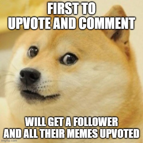 wow doge | FIRST TO UPVOTE AND COMMENT; WILL GET A FOLLOWER AND ALL THEIR MEMES UPVOTED | image tagged in wow doge | made w/ Imgflip meme maker