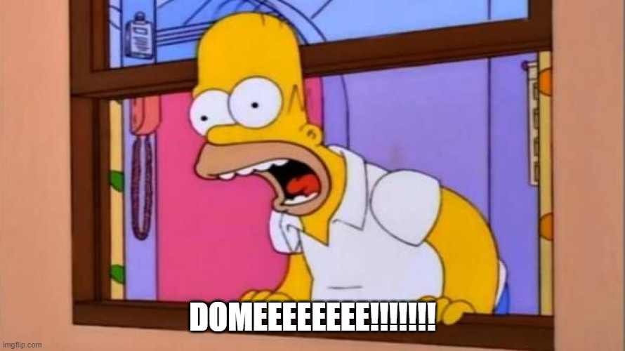 Homero | DOMEEEEEEEE!!!!!!! | image tagged in homer simpson,scream | made w/ Imgflip meme maker