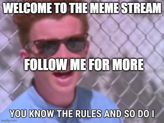 Welcome | WELCOME TO THE MEME STREAM; FOLLOW ME FOR MORE | image tagged in rick astley you know the rules | made w/ Imgflip meme maker