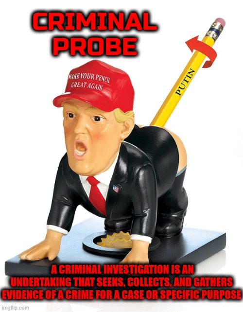 CRIMINAL PROBE | CRIMINAL PROBE; A CRIMINAL INVESTIGATION IS AN UNDERTAKING THAT SEEKS, COLLECTS, AND GATHERS EVIDENCE OF A CRIME FOR A CASE OR SPECIFIC PURPOSE | image tagged in criminal probe,investigation,explore,examine,evidence,crime | made w/ Imgflip meme maker