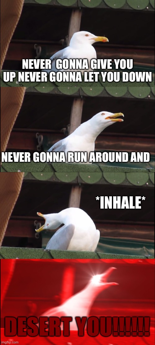 Sorry if this is repost I don’t actually know if it is | NEVER  GONNA GIVE YOU UP NEVER GONNA LET YOU DOWN; NEVER GONNA RUN AROUND AND; *INHALE*; DESERT YOU!!!!!! | image tagged in memes,inhaling seagull,never gonna give you up,never gonna let you down,never gonna run around,and desert you | made w/ Imgflip meme maker