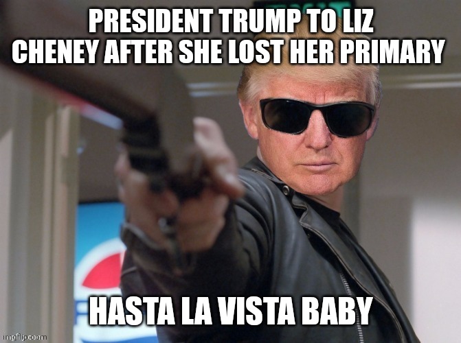 The Trumpinator | PRESIDENT TRUMP TO LIZ CHENEY AFTER SHE LOST HER PRIMARY; HASTA LA VISTA BABY | image tagged in the trumpinator | made w/ Imgflip meme maker