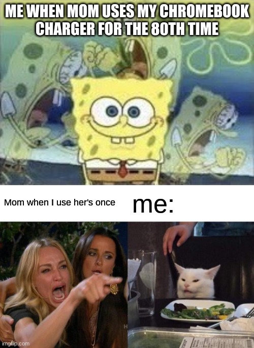 Seriously Though | ME WHEN MOM USES MY CHROMEBOOK CHARGER FOR THE 80TH TIME; Mom when I use her's once; me: | image tagged in spongebob internal screaming,memes,woman yelling at cat,chromebook,charger,moms | made w/ Imgflip meme maker