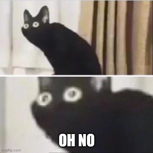 Scared cat | OH NO | image tagged in scared cat | made w/ Imgflip meme maker