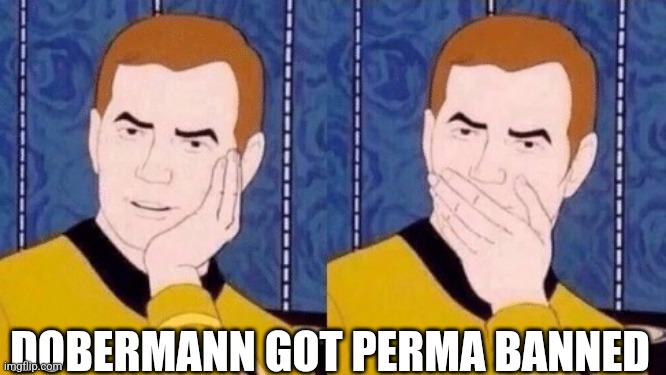 6qg4yz.jpg