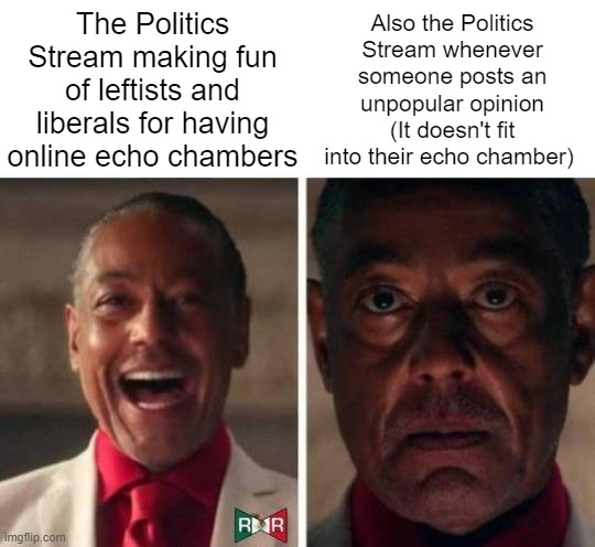gus fring | The Politics Stream making fun of leftists and liberals for having online echo chambers; Also the Politics Stream whenever someone posts an unpopular opinion (It doesn't fit into their echo chamber) | image tagged in gus fring | made w/ Imgflip meme maker