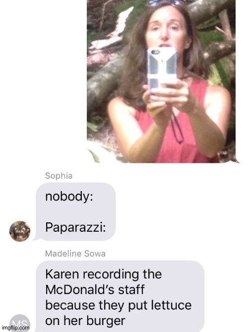 I have good friends. They help me with my memes sometimes. | image tagged in karen,text,paparazzi | made w/ Imgflip meme maker