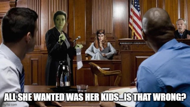 Defense | ALL SHE WANTED WAS HER KIDS...IS THAT WRONG? | image tagged in wanda,she-hulk | made w/ Imgflip meme maker