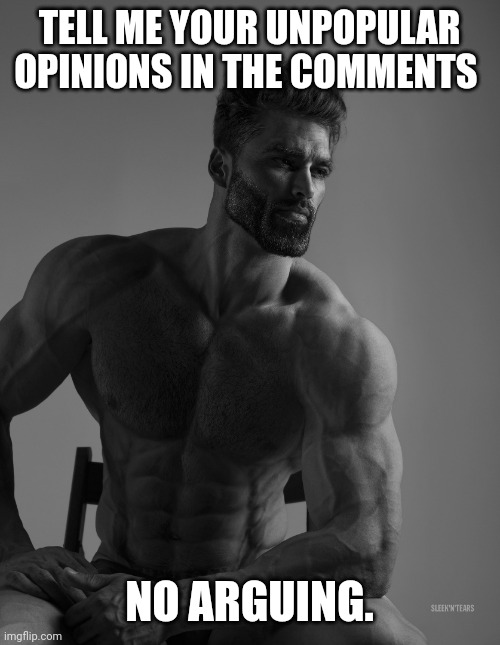 I wanna know | TELL ME YOUR UNPOPULAR OPINIONS IN THE COMMENTS; NO ARGUING. | image tagged in giga chad | made w/ Imgflip meme maker