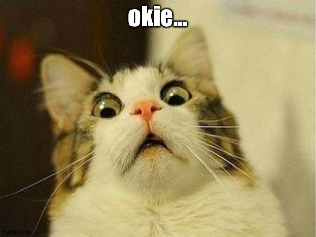 Scared Cat Meme | okie... | image tagged in memes,scared cat | made w/ Imgflip meme maker