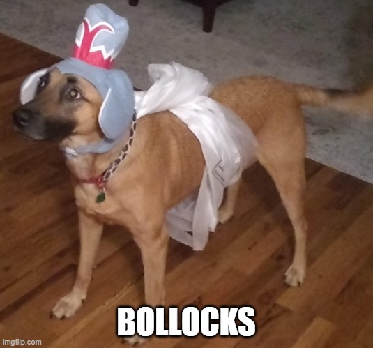 bollocks | BOLLOCKS | image tagged in courageous dog | made w/ Imgflip meme maker