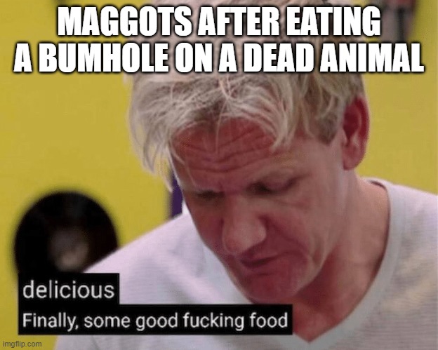delicious finally some good | MAGGOTS AFTER EATING A BUMHOLE ON A DEAD ANIMAL | image tagged in delicious finally some good | made w/ Imgflip meme maker