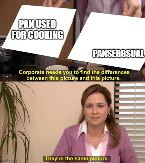 They're the same picture meme | PAN USED FOR COOKING PANSEGGSUAL | image tagged in they're the same picture meme | made w/ Imgflip meme maker