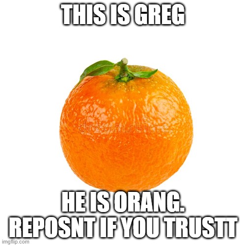 umpvoet for greg | THIS IS GREG; HE IS ORANG. REPOSNT IF YOU TRUSTT | image tagged in orange | made w/ Imgflip meme maker