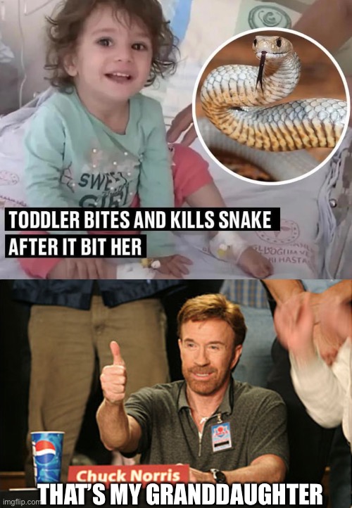 THAT’S MY GRANDDAUGHTER | image tagged in memes,chuck norris approves | made w/ Imgflip meme maker