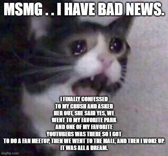 RIP | I FINALLY CONFESSED TO MY CRUSH AND ASKED HER OUT, SHE SAID YES, WE WENT TO MY FAVORITE PARK AND ONE OF MY FAVORITE YOUTUBERS WAS THERE SO I GOT TO DO A FAN MEETUP, THEN WE WENT TO THE MALL, AND THEN I WOKE UP.
IT WAS ALL A DREAM. MSMG . . I HAVE BAD NEWS. | image tagged in crying cat | made w/ Imgflip meme maker