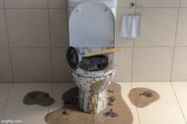 my toilet | image tagged in my toilet | made w/ Imgflip meme maker
