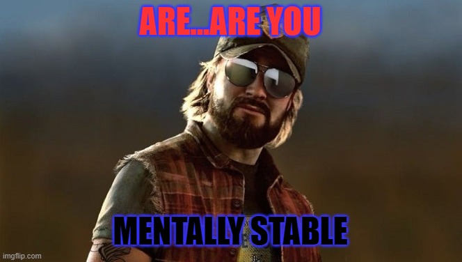 nick rye are you mentally stable | ARE...ARE YOU MENTALLY STABLE | image tagged in nick rye are you mentally stable | made w/ Imgflip meme maker