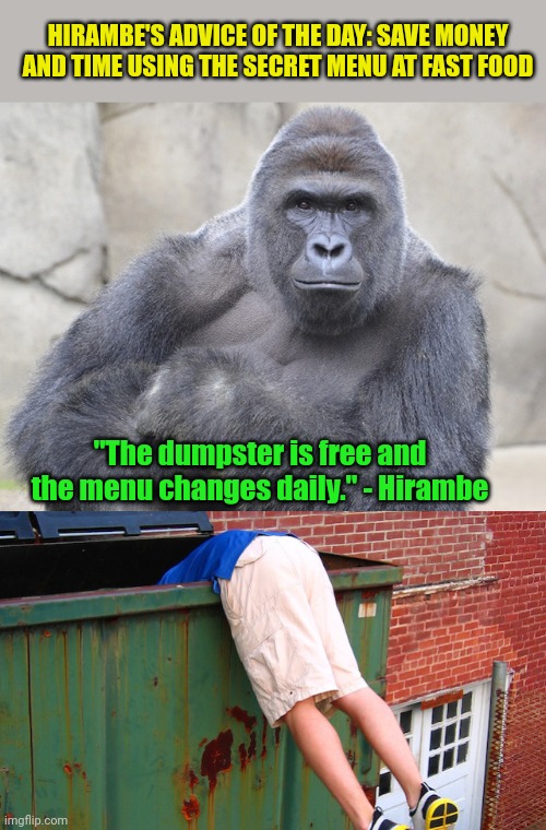  HIRAMBE'S ADVICE OF THE DAY: SAVE MONEY AND TIME USING THE SECRET MENU AT FAST FOOD; "The dumpster is free and the menu changes daily." - Hirambe | image tagged in harambe,dumpster dive | made w/ Imgflip meme maker