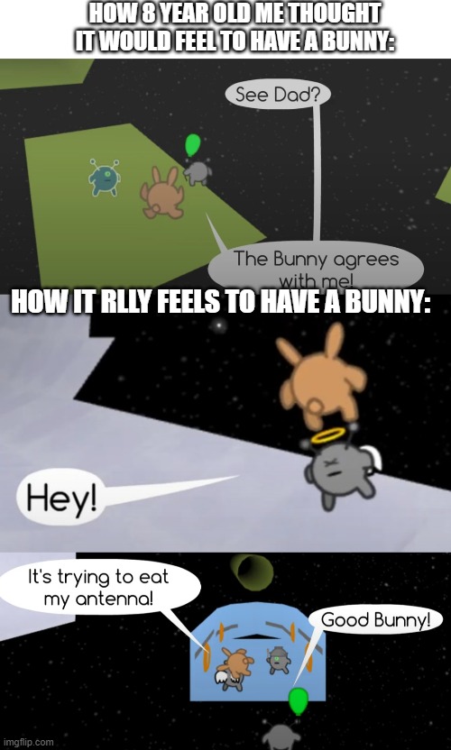 Evil Bunny | HOW 8 YEAR OLD ME THOUGHT IT WOULD FEEL TO HAVE A BUNNY:; HOW IT RLLY FEELS TO HAVE A BUNNY: | image tagged in pets,video games | made w/ Imgflip meme maker