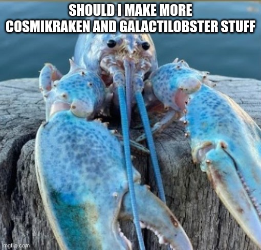 lobber my beloved | SHOULD I MAKE MORE COSMIKRAKEN AND GALACTILOBSTER STUFF | image tagged in lobber my beloved | made w/ Imgflip meme maker