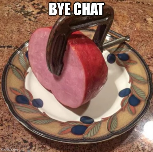 Clamped Ham | BYE CHAT | image tagged in clamped ham | made w/ Imgflip meme maker