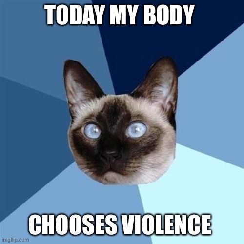 Today my body chooses violence... | TODAY MY BODY; CHOOSES VIOLENCE | image tagged in chronic illness cat,flare,chronic illness,crash,illness,disability | made w/ Imgflip meme maker