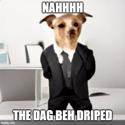He be drippp | NAHHHH; THE DAG BEH DRIPED | image tagged in he be drippp | made w/ Imgflip meme maker