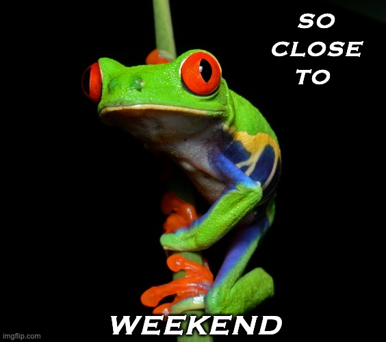 Just hang on |  SO
CLOSE
TO; WEEKEND | image tagged in curious tree frog,frog,cute,weekend | made w/ Imgflip meme maker