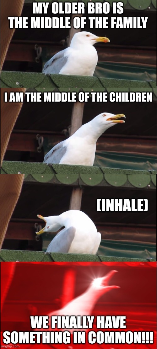 Yes!!! Finally!!! | MY OLDER BRO IS THE MIDDLE OF THE FAMILY; I AM THE MIDDLE OF THE CHILDREN; (INHALE); WE FINALLY HAVE SOMETHING IN COMMON!!! | image tagged in memes,oof | made w/ Imgflip meme maker