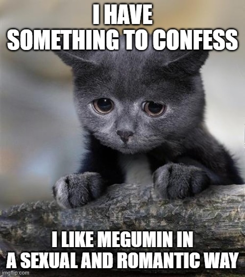 I hope you understand, Megumin | I HAVE SOMETHING TO CONFESS; I LIKE MEGUMIN IN A SEXUAL AND ROMANTIC WAY | image tagged in confession cat | made w/ Imgflip meme maker