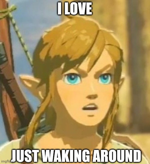 Offended Link | I LOVE JUST WAKING AROUND | image tagged in offended link | made w/ Imgflip meme maker