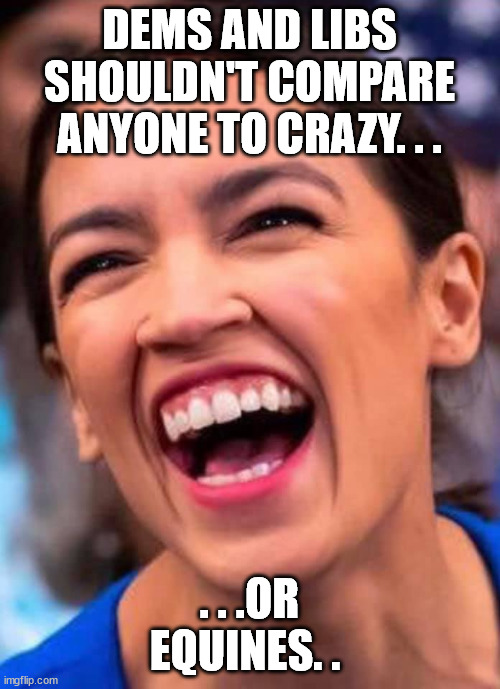 AOC Crazy Town | DEMS AND LIBS SHOULDN'T COMPARE ANYONE TO CRAZY. . . . . .OR EQUINES. . | image tagged in aoc crazy town | made w/ Imgflip meme maker