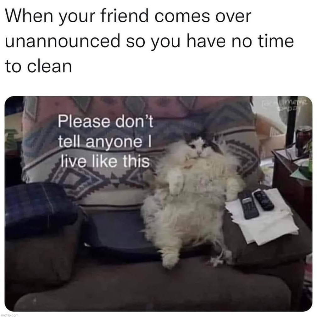 image tagged in repost | made w/ Imgflip meme maker