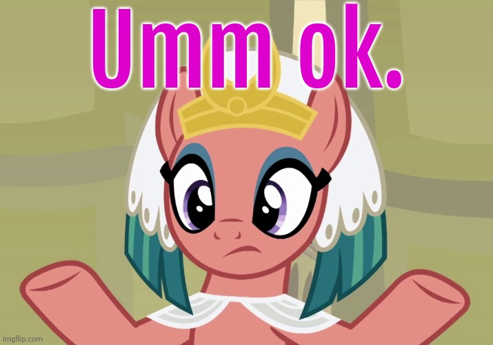 Concerned Somnambula (MLP) | Umm ok. | image tagged in concerned somnambula mlp | made w/ Imgflip meme maker