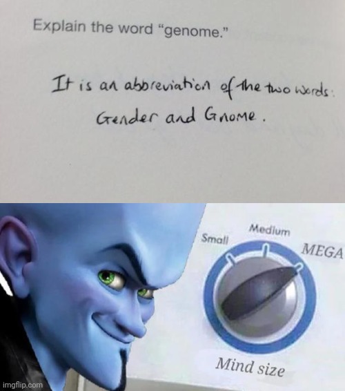 Genome | image tagged in mega mind size,genome,genius,gender,memes,funny test answers | made w/ Imgflip meme maker