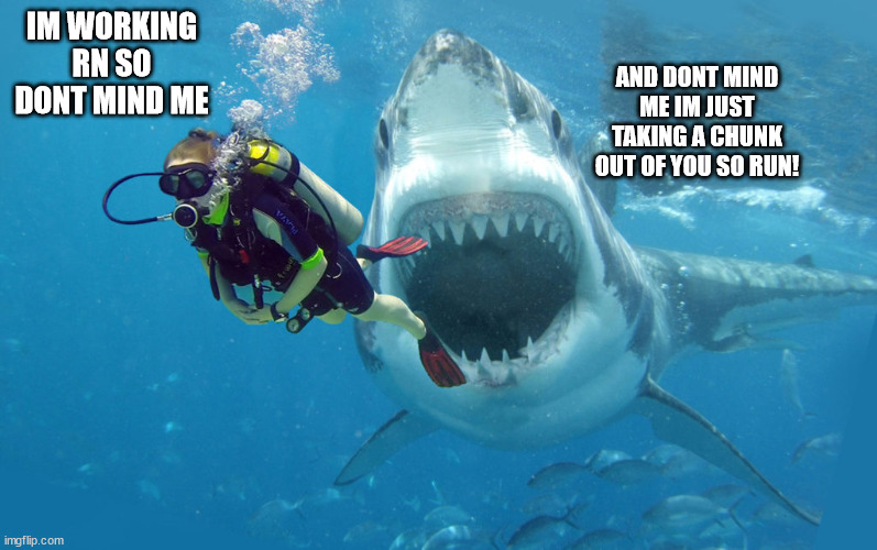 if i was working with sharks! | IM WORKING RN SO DONT MIND ME; AND DONT MIND ME IM JUST TAKING A CHUNK OUT OF YOU SO RUN! | made w/ Imgflip meme maker
