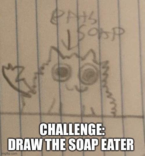 Peanut the fluffy cat | CHALLENGE: DRAW THE SOAP EATER | image tagged in cat | made w/ Imgflip meme maker