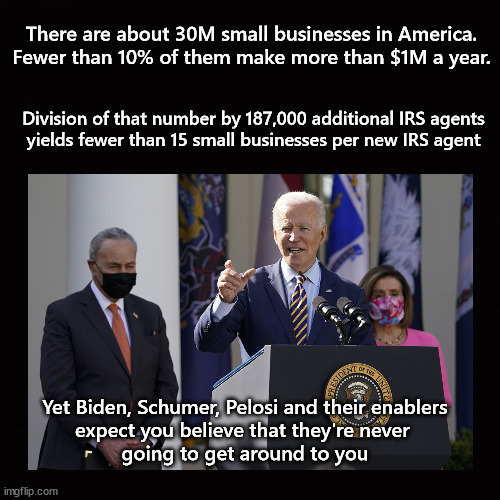 87000 new IRS agents; never fear ... | There are about 30M small businesses in America.
Fewer than 10% of them make more than $1M a year. Division of that number by 187,000 additional IRS agents
yields fewer than 15 small businesses per new IRS agent; Yet Biden, Schumer, Pelosi and their enablers
expect you believe that they're never 
going to get around to you | image tagged in 87000 irs agents | made w/ Imgflip meme maker