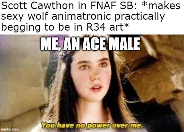 Joke's on you, Cawthon! | Scott Cawthon in FNAF SB: *makes
sexy wolf animatronic practically
begging to be in R34 art*; ME, AN ACE MALE | image tagged in you have no power over me | made w/ Imgflip meme maker
