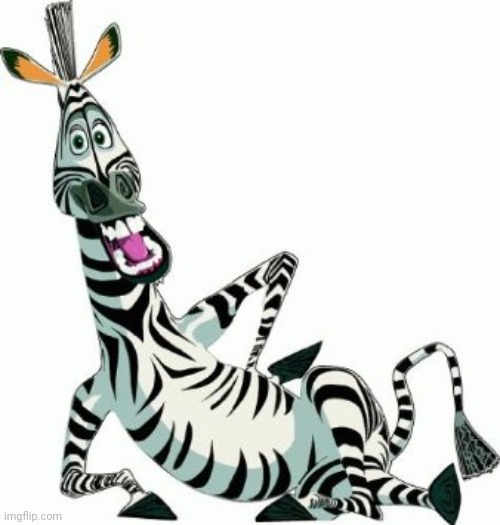 Chris Rock as a Zebra | image tagged in zebra | made w/ Imgflip meme maker