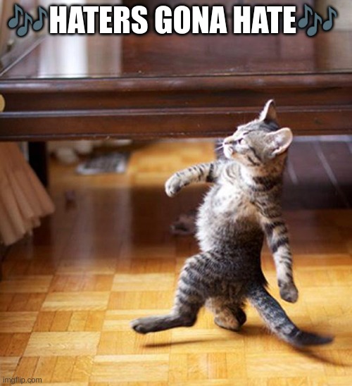 Haters gonna hate | ?HATERS GONA HATE? | image tagged in haters gonna hate | made w/ Imgflip meme maker
