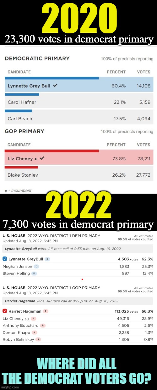 I estimate (with the higher voter turnout) that 24,000 Dems voted for Cheney. | 2020; 23,300 votes in democrat primary; 2022; 7,300 votes in democrat primary; WHERE DID ALL THE DEMOCRAT VOTERS GO? | image tagged in political meme,liz cheney,election 2022,democrats,wyoming | made w/ Imgflip meme maker