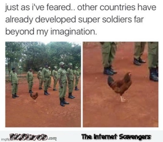 image tagged in repost,army,chicken | made w/ Imgflip meme maker