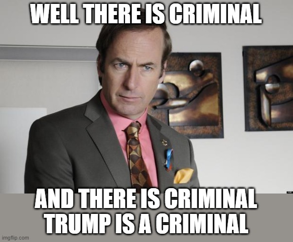 Saul Goodman Criminal Attorney | WELL THERE IS CRIMINAL AND THERE IS CRIMINAL TRUMP IS A CRIMINAL | image tagged in saul goodman criminal attorney | made w/ Imgflip meme maker